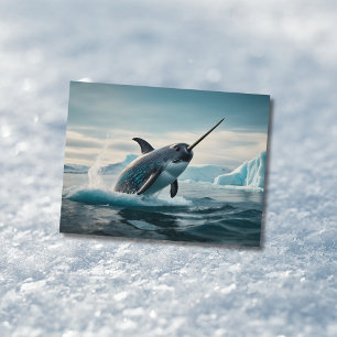 Narwhal jumping out of water postcard