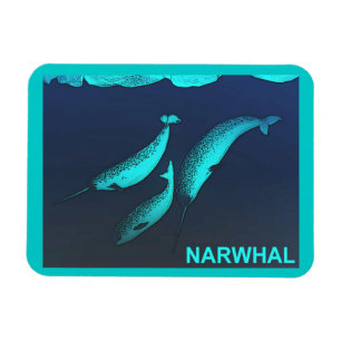 Narwhal Magnet