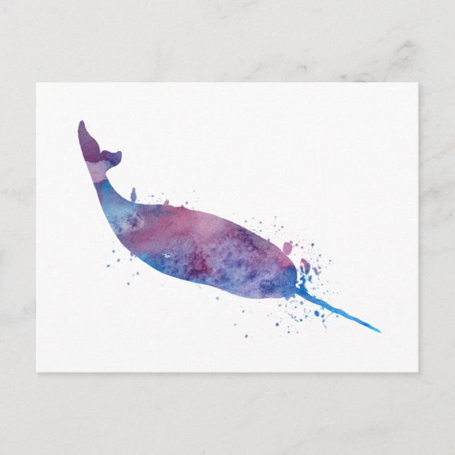 Narwhal Postcard (Front)