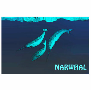 Narwhal Under The Ice Photo Sculpture Magnet