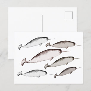 Narwhals Swim - Narwhal Whale Illustration Gift Postcard