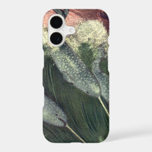 Narwhals, Vintage Marine Life Whales Ocean Animals