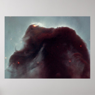NASA - The Horsehead Nebula Poster