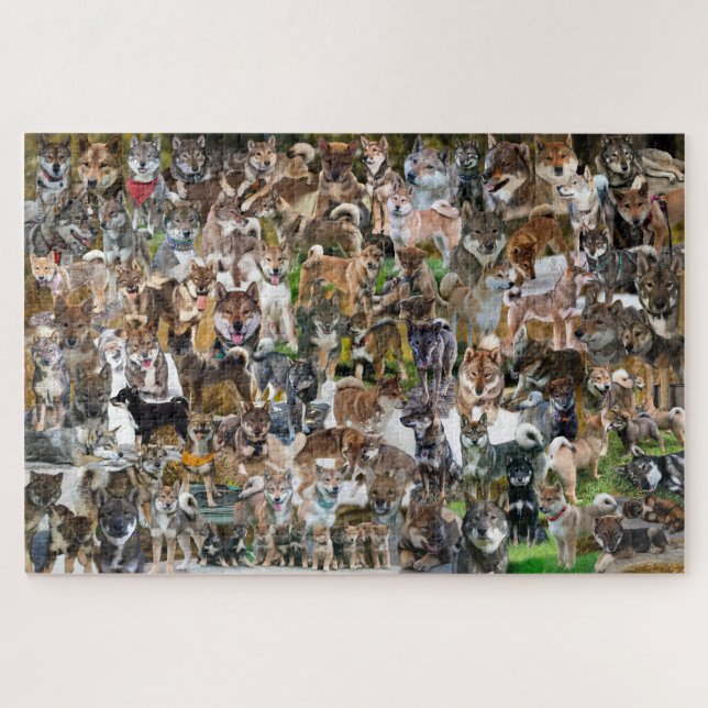 NASC 2022 Jigsaw Puzzle (Horizontal)