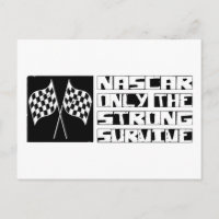 NASCAR Survive