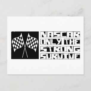 NASCAR Survive Postcard