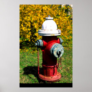 Nashville fire hydrant poster