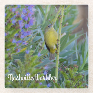 Nashville Warbler Glass Coaster