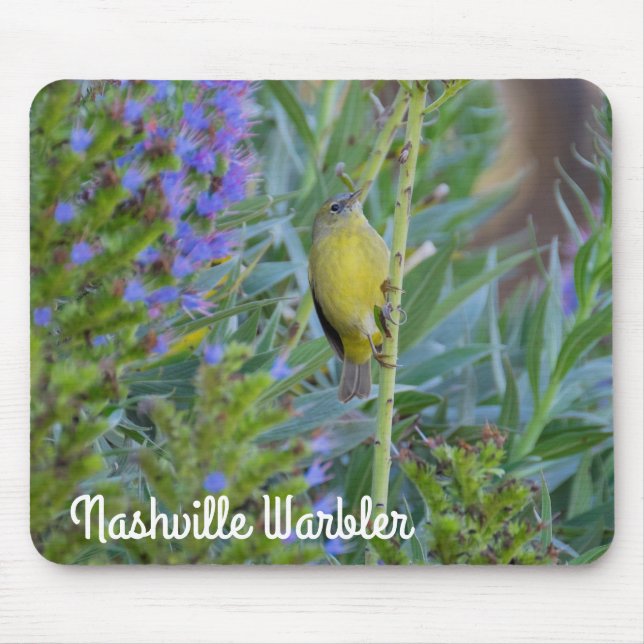 Nashville Warbler Mouse Mat (Front)