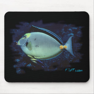 Naso Tang Mouse Mat