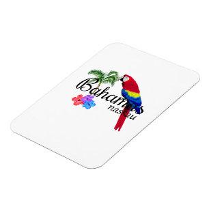 Nassau Bahamas Tropical Destination Magnet