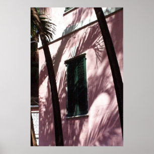 Nassau Library Pastel Pink Poster Print