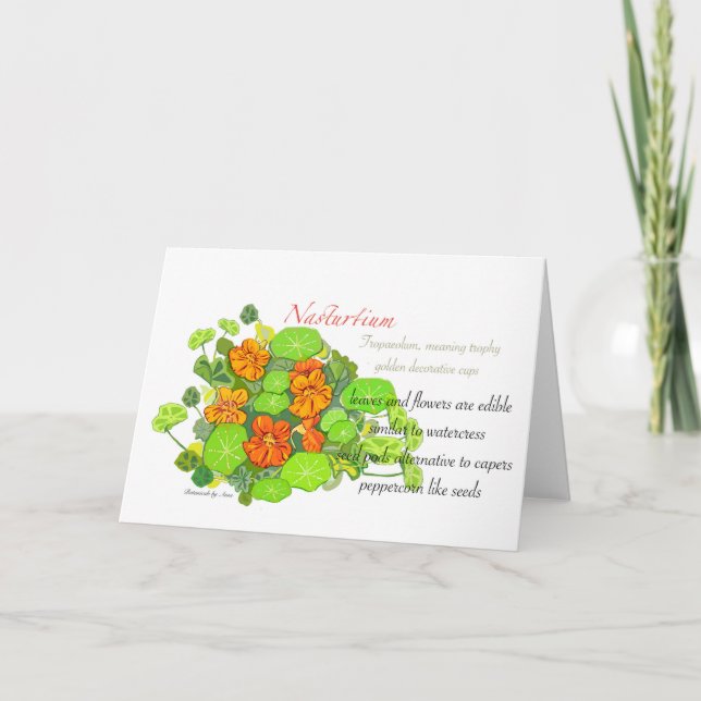 Nasturtium Blank Card (Front)