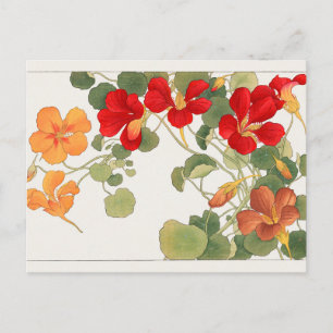Nasturtium by Tanigami Konan Postcard