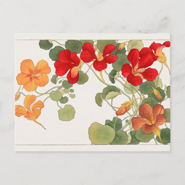 Nasturtium by Tanigami Konan Postcard (Front)