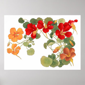 Nasturtium flower , Japanese ukiyo e art Poster