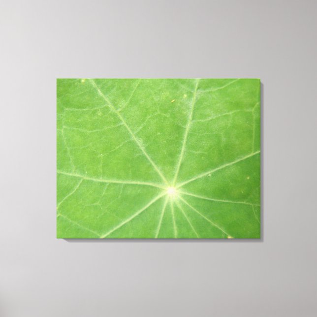 Nasturtium Leaf Canvas Print (Front)