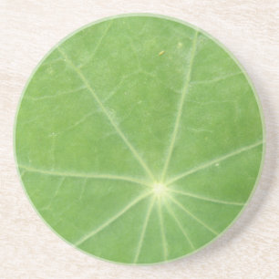 Nasturtium Leaf Coasters