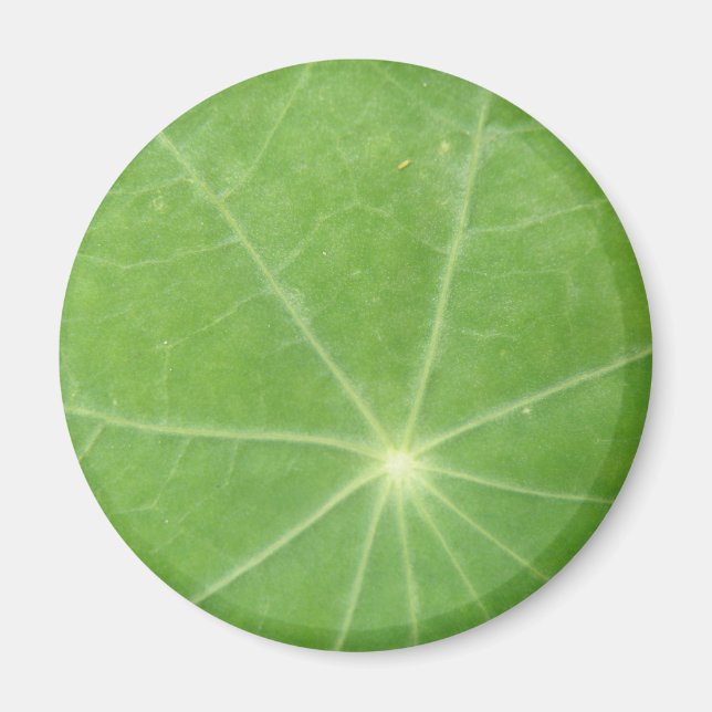 Nasturtium Leaf Magnet (Front)