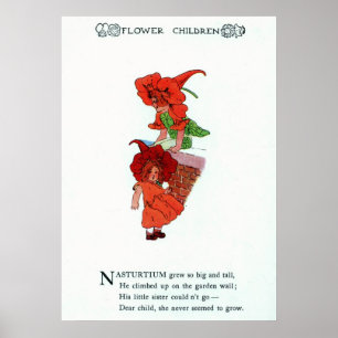 Nasturtium Poster