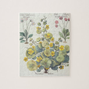 Nasturtiums and Daisies: 1.Nasturtium Indicum; 2.B Jigsaw Puzzle