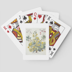 Nasturtiums and Daisies: 1.Nasturtium Indicum; 2.B Playing Cards