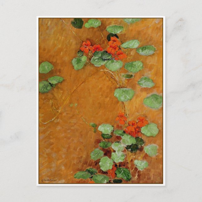 Nasturtiums by Gustave Caillebotte Postcard (Front)