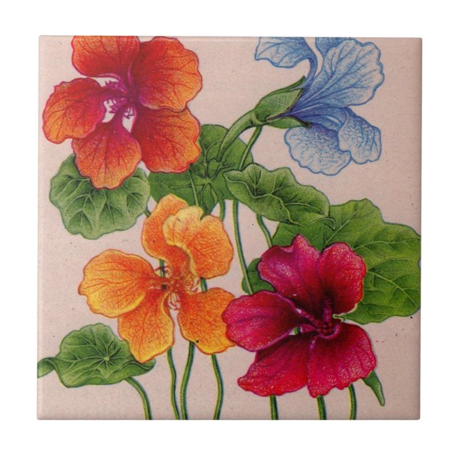 nasturtiums tile (Front)