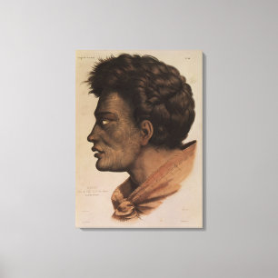 Natai, a Maori chief from Bream Bay, New Zealand Canvas Print