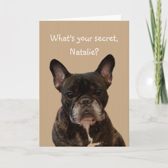 Natalie French Bulldog Shakespeare Happy Birthday Card (Front)