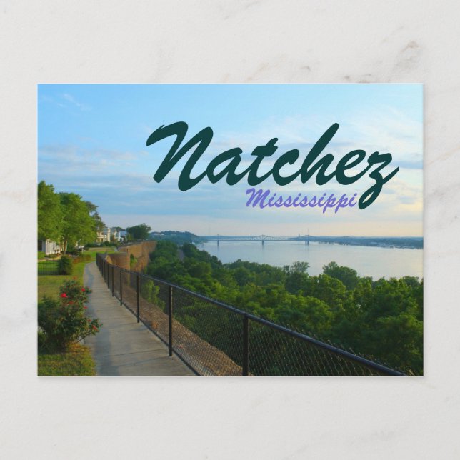 Natchez Mississippi River Bluffs Great Flood 2011 Postcard (Front)