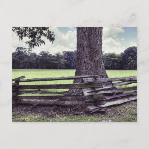 Natchez Split Rail Fence Postcard