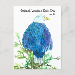 National American Eagle Day June 20 Wildlife Postcard