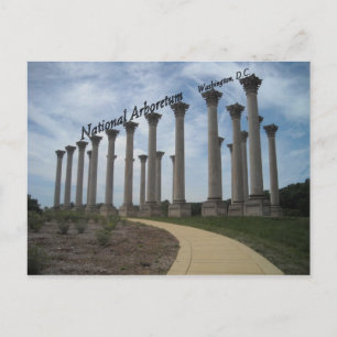 National Arboretum Washington DC Postcard