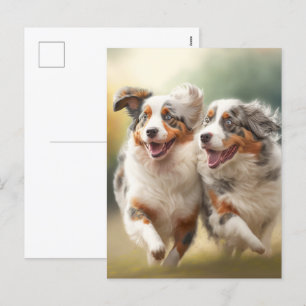 National Australian Shepherd Day, Aussie Dogs Holiday Postcard