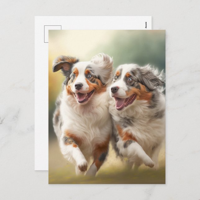 National Australian Shepherd Day, Aussie Dogs Holiday Postcard (Front/Back)