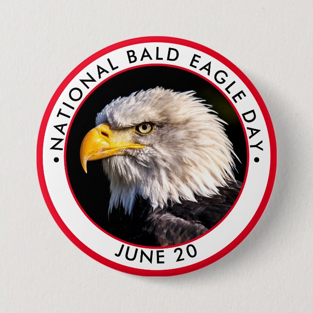 National Bald Eagle Day 7.5 Cm Round Badge (Front)