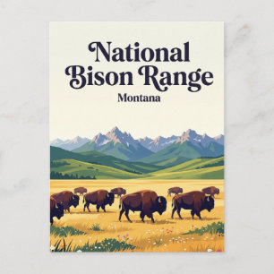 National Bison Range Montana Postcard