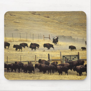 National Bison Range Roundup in Montana Mouse Mat