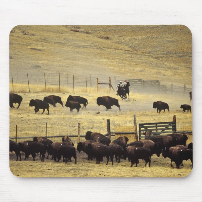 National Bison Range Roundup in Montana Mouse Mat (Front)