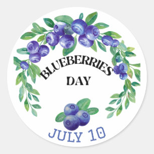 National Blueberries Day July Classic Round Sticker