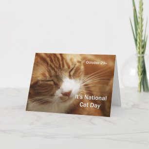 National Cat Day October 29 Card