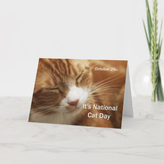 National Cat Day October 29 Card