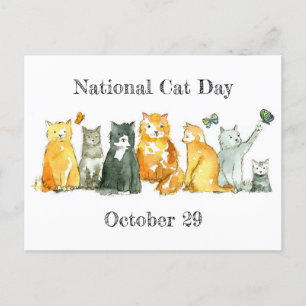 National Cat Day October 29 Tuxedo Calico Cat Postcard
