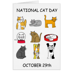 National Cat Day October 29th