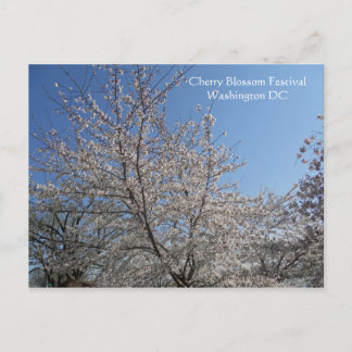 National Cherry Blossom Festival Washington DC 001 Postcard