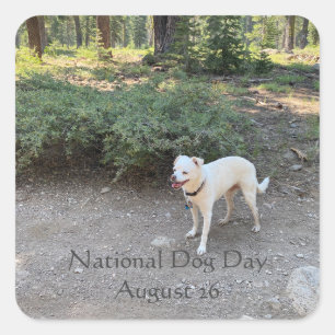 National Dog Day August 26 Square Sticker