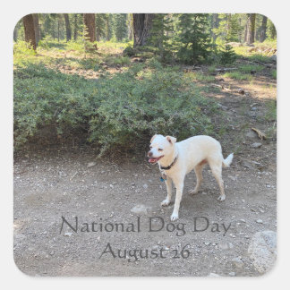 National Dog Day August 26 Square Sticker