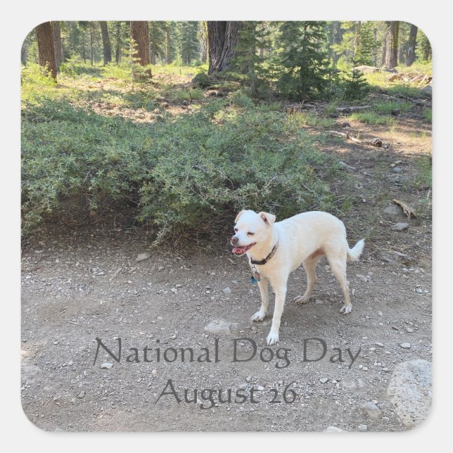 National Dog Day August 26 Square Sticker (Front)