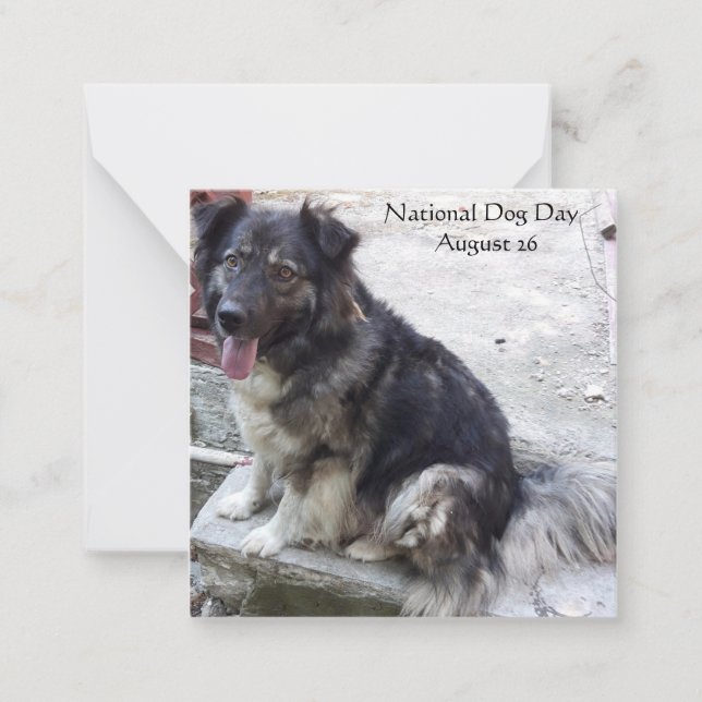 National Dog Day Card (Front)